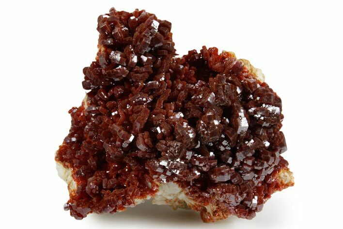 Glittering Ruby Red Vanadinite Crystals on Barite - Morocco #349440